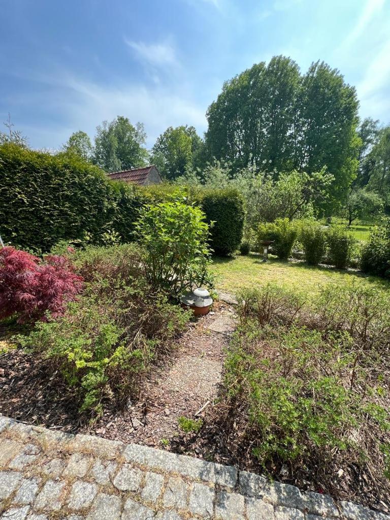 Haus Am Berzdorfer See - 3 Schlafzimmer - Ganzes Haus Zur Alleinnutzung - Terrasse - Hochwertige Ausstattung Гёрлиц Экстерьер фото